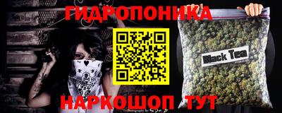 альфа пвп Аргун