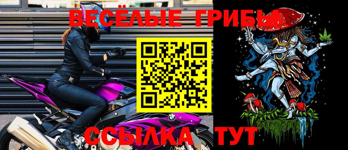Галлюциногенные грибы прущие грибы Вичуга
