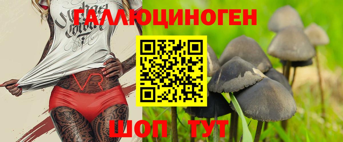 купить  цена  Псилоцибиновые грибы Psilocybe  Вход с VPN  Псилоцибиновые грибы мухоморы  Вичуга 